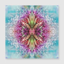 Recherche de pissenlit rose cartes postales Fleur