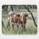 Recherche de longhorn tapis souris Le texas