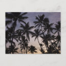 Suche nach dominikanische republik postkarten Atlantischer ozean