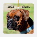 Suche nach brauner und weißer hund ornamente Haustier