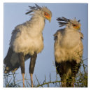 Recherche de la tanzanie carreaux Oiseau