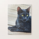Recherche de black cat puzzles Noir
