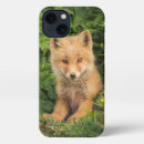 Suche nach alaska iphone hüllen Tiere