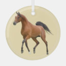 Recherche de cheval arabe ornements Étalon