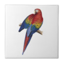 Suche nach papagei macaw fliesen Blau