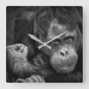 Suche nach orang utan wanduhren Affe