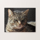 Suche nach katzenartig puzzle Tiere