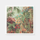 Recherche de illustration vintage serviettes Ernst haeckel