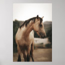 Suche nach landschaftliche natur poster Vintag