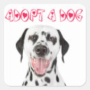 Recherche de dalmatiens autocollants Chiots