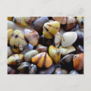 Recherche de palourdes cartes postales Obus