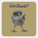 Suche nach lustige fragen aufkleber Spaß