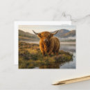 Recherche de highlands cartes postales Nature