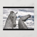 Suche nach kelpie poster Geist