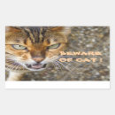 Recherche de yeux de tigre autocollants Sauvage