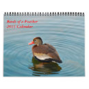 Recherche de birds of a feather Cardinal