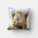Recherche de dromadaire coussins Nature