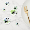 Suche nach pandas Bamboo