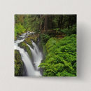 Suche nach olympisch buttons Wald
