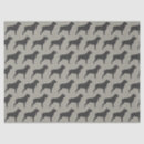 Recherche de canine tissue papier Chien