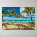 Recherche de palmier tropical posters Littoral