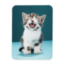 Suche nach niedliche maus magnete Kätzchen