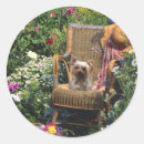 Recherche de yorkies autocollants Animaux