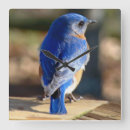 Recherche de eastern posters Animal