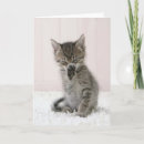 Suche nach tabby karten Haustier