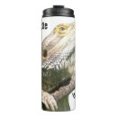 Recherche de lézard mugs bouteilles Dragon barbu