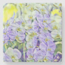 Suche nach orchideen blume untersetzer Gelbe blumen