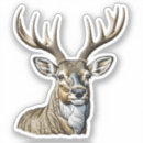 Suche nach an mit an den geweihen aufkleber Hirsch