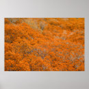Suche nach heller wald poster Herbst