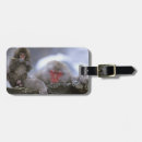 Recherche de singe se reposant Hiver