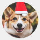 Suche nach lächelnder hund aufkleber Lustig