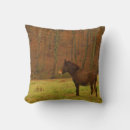 Recherche de âne coussins Chevaux