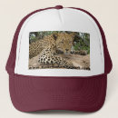 Suche nach kenia kappen Wild lebende tiere