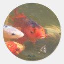 Suche nach koi fish aufkleber Wasser