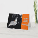 Suche nach lustige freundschaft karten Freunde