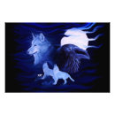 Recherche de loup bleu posters Animal