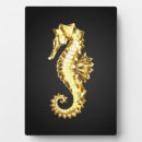 Recherche de hippocampe plaques Mer