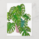 Suche nach dschungel postkarten Tropisch