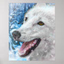 Recherche de yeux loup posters Loups