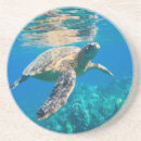 Recherche de tortue dessous de verres Vie marine