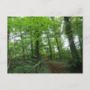 Recherche de vert forêt cartes postales Arbres