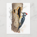 Recherche de tronc cartes postales Faune