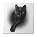 Suche nach shirt fliesen Katze