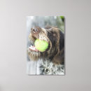Suche nach zucht leinwandbilder Hund