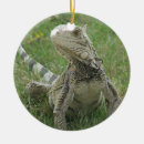Recherche de iguane ornements Lézard
