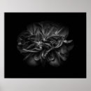 Recherche de beauté unique posters Fleurs